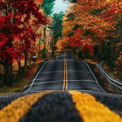 加拿大pc软件平台app下载