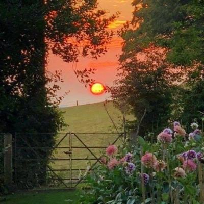 三张牌下载金花免费手机app下载