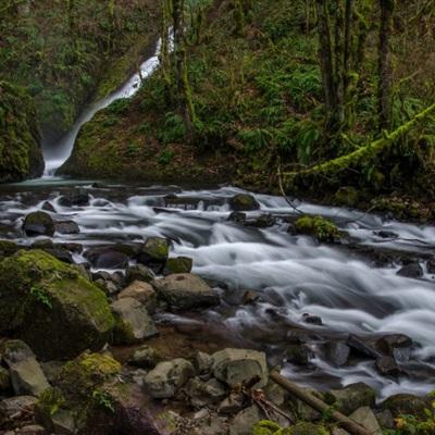购彩中心app下载